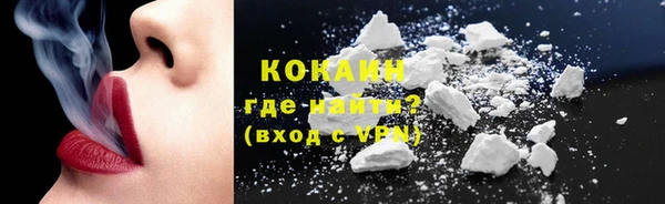 гидра Богородск