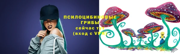 гидра Богородск