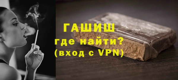 гидра Богородск