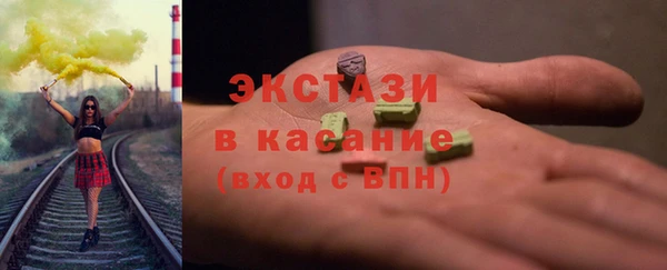 гидра Богородск