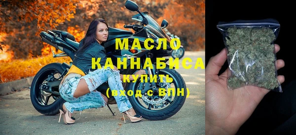 гидра Богородск