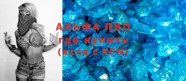 гидра Богородск