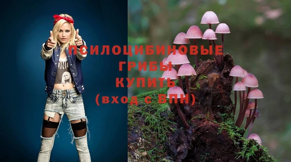 не бодяженный Богородицк