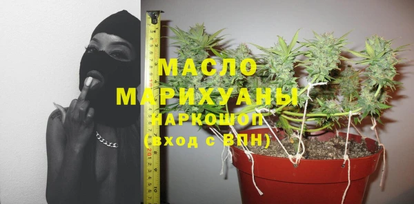 гидра Богородск