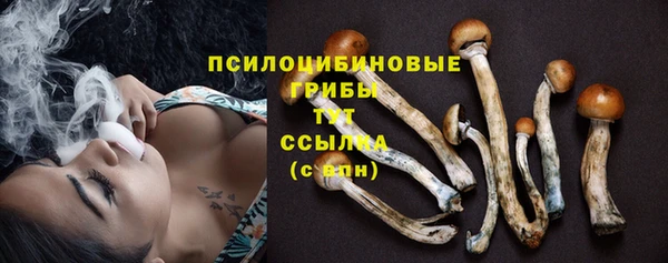 не бодяженный Богданович