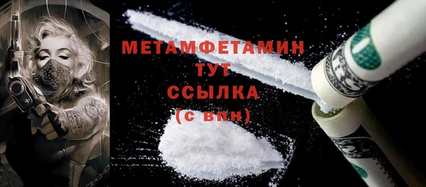 гидра Богородск